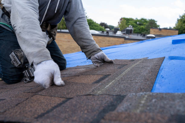 Best Best Roofing Contractors  in Kelly Ridge, CA